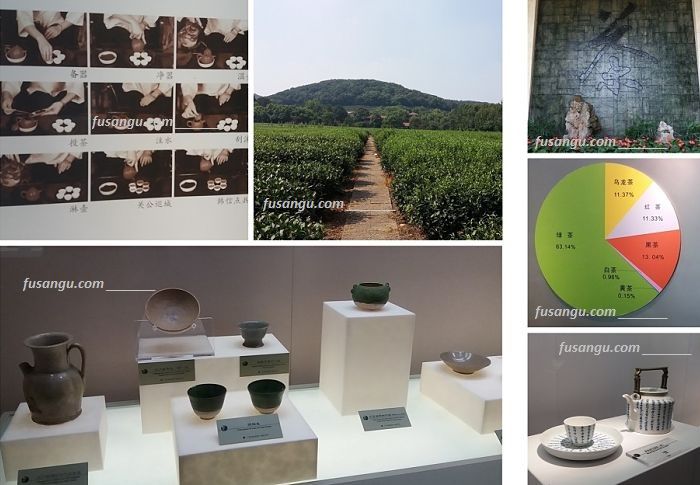 Journey to China: visit to China Tea National Museum, Hangzhou