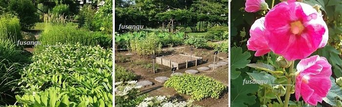 One day in Aizu-Wakamatsu: visit to Oyaku-En garden