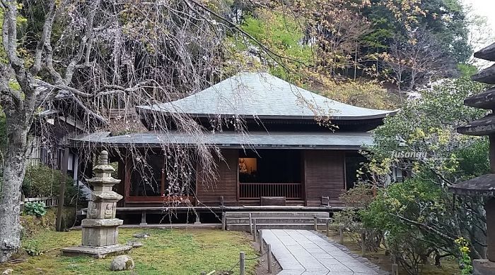 Half-day excursion from Tokyo: visit to Kamakura; Tokei-Ji