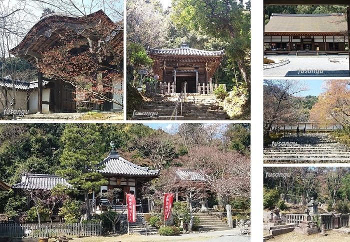 Three days in Kyoto; Arashiyama, Nison-In