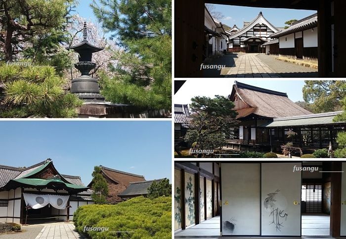 Japan 10-day itinerary; day 6: visit to Daikaku-Ji