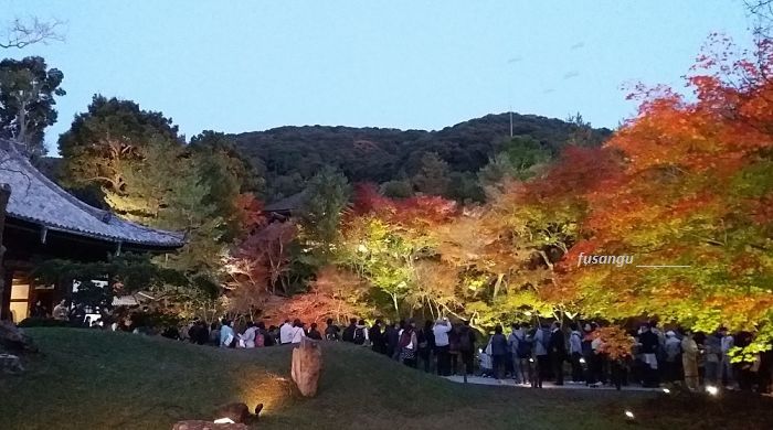 Three days in Kyoto: Kodai-Ji