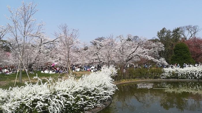 Kyoto; Sakyo itinerary: visit to Kyoto Botanical Gardens