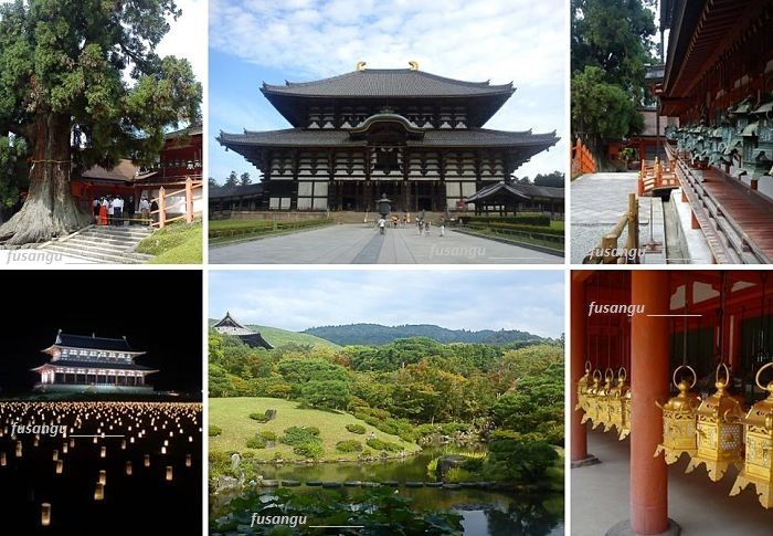 Ten days in Japan; day 8: visit to Nara, Nara-Koen