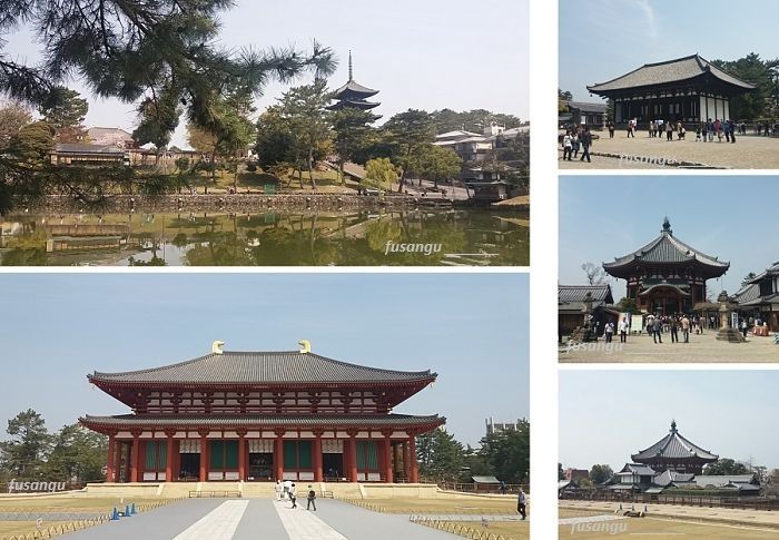 Nara in 1 day; suggested itinerary: Kofuku-Ji