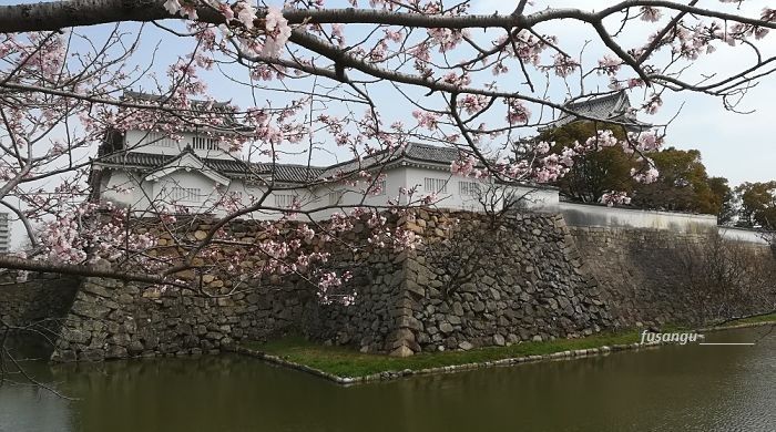 Kishiwada: Kishiwada-Jo