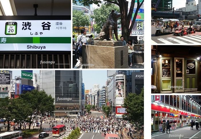 Japan 10-day trip: Tokyo, Shibuya