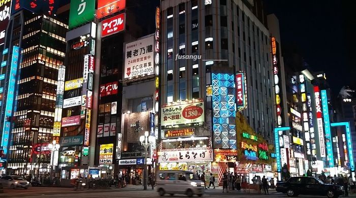 Tokyo; how to spend a day along the Marunouchi Line: a visit to Shinjuku