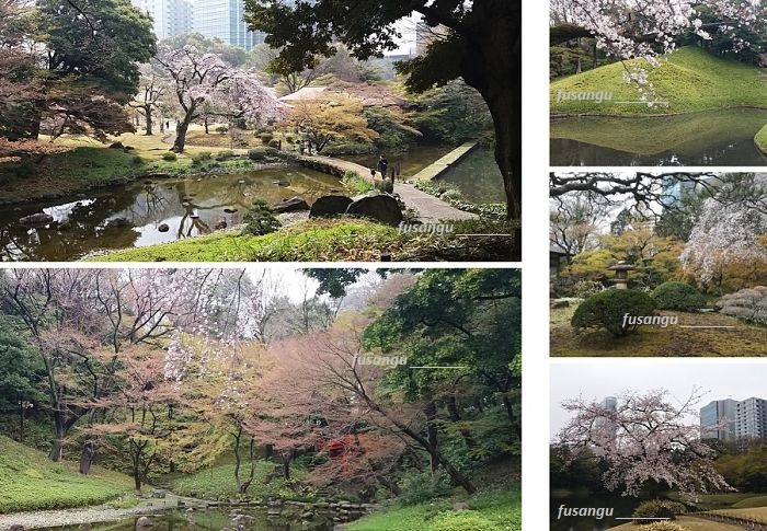Visit to Tokyo: Koishikawa Koraku-En garden