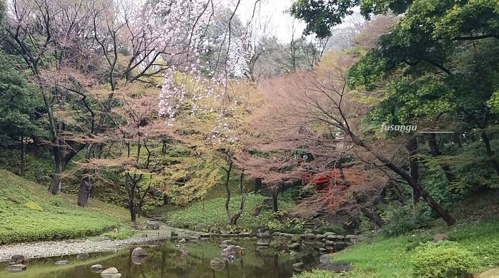 Three days in Tokyo: visit to Koishikawa Koraku-En garden