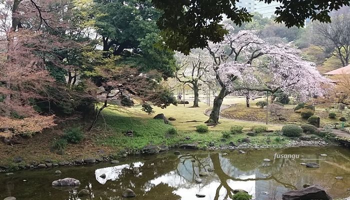Ten days in Japan; visit to Tokyo: Koishikawa-Koraku-En