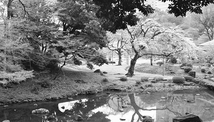 Five days in Japan; visit to Tokyo: Koishikawa-Koraku-En