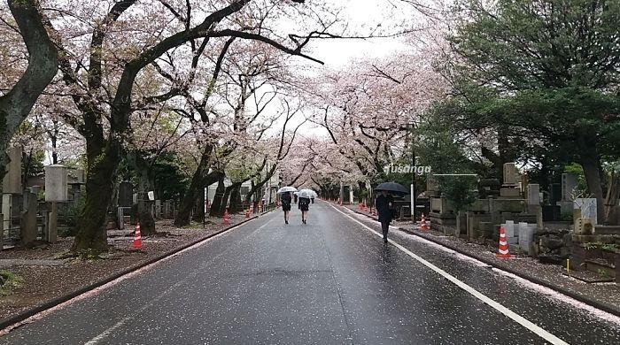 Tokyo; itinerary along the Chiyoda Line: a visit to Yanaka