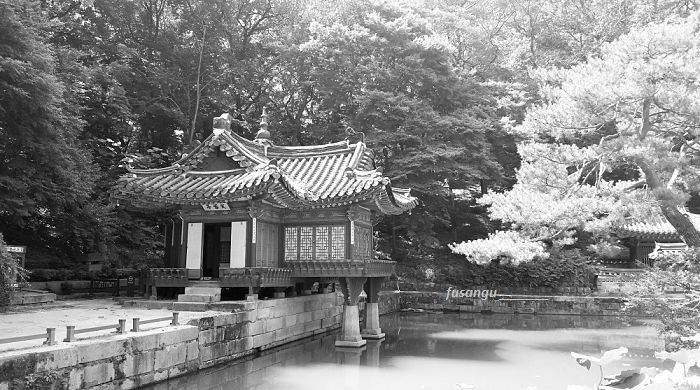 How to spend one day and a half in Seoul: a visit to Changdeokgung