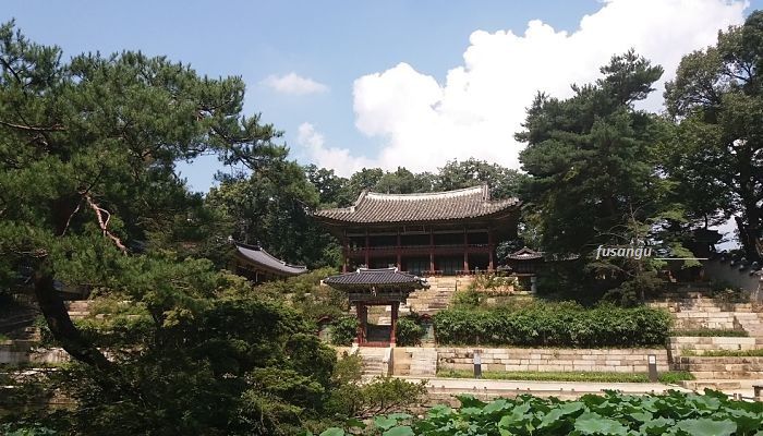 One day and a half in Seoul: visit to Changdeokgung