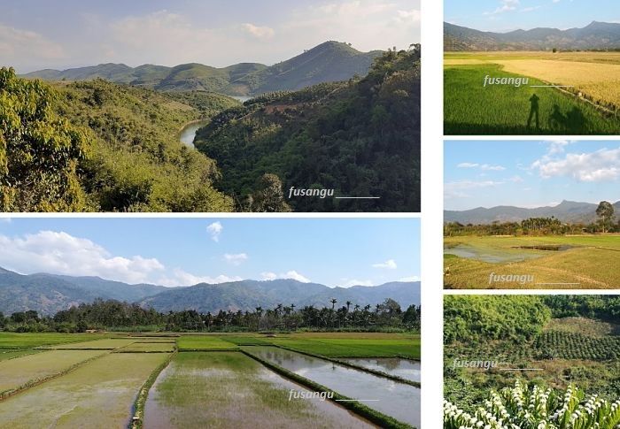 Four weeks in Vietnam; itinerary: Dak Lak, Ho Lak