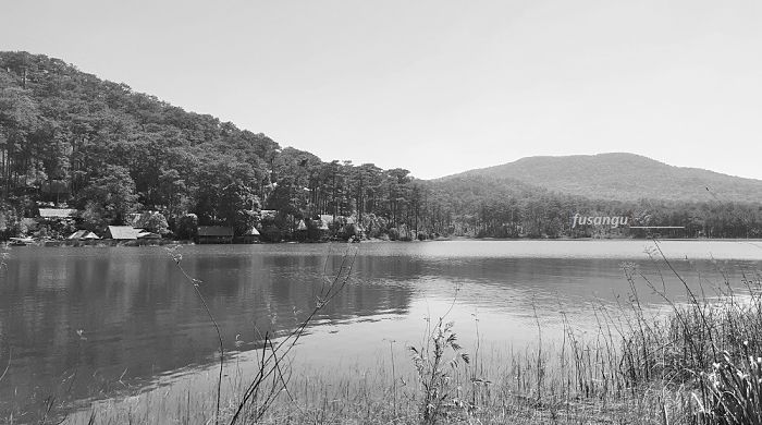 How to spend two days in Da Lat: a visit to Ho Tuyen Lam ( Tuyen Lam Lake)