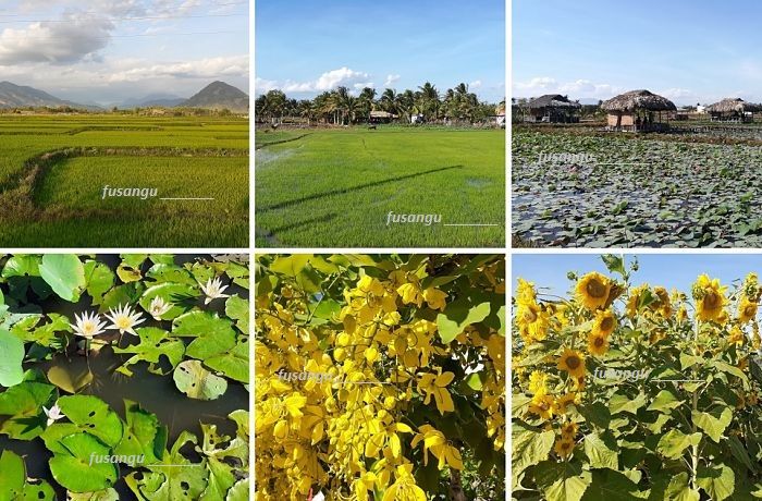 Vietnam itineraries: trip to Ninh Thuan