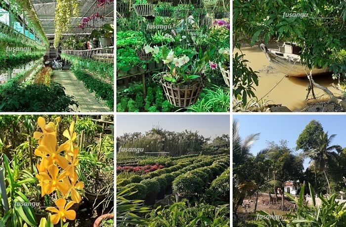 Visit to Sa Dec (Vietnam): Lang Hoa Sa Dec (Sa Dec Flower Village)
